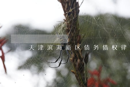天津滨海新区债务债权律师 天津滨海新区债务债权律师