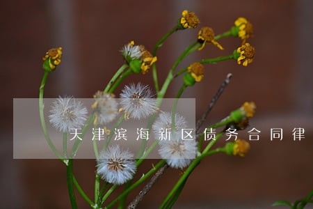 天津滨海新区债务合同律师