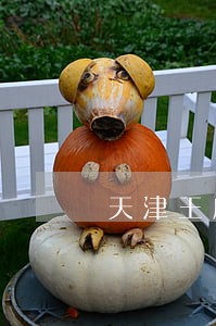 天津王府置业诉讼 天津王府置业诉讼
