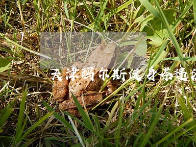 天津玛尔斯健身茶违法 天津玛尔斯健身茶违法