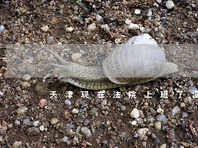 天津现在法院上班了没有 天津现在法院上班了没有