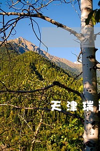 天津瑞岸科技有限公司诉讼