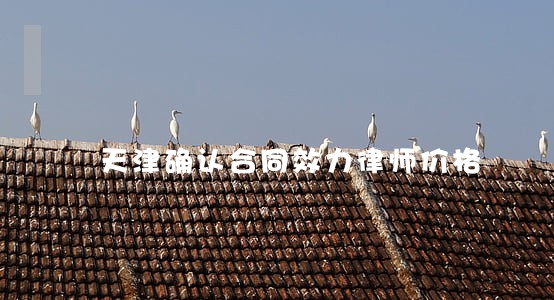 天津确认合同效力律师价格 天津确认合同效力律师价格