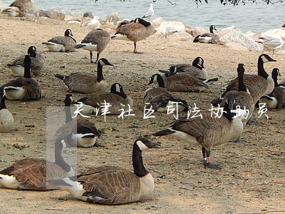 天津社区司法协助员 天津社区司法协助员