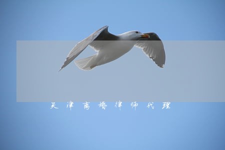 天津离婚律师代理 天津离婚律师代理