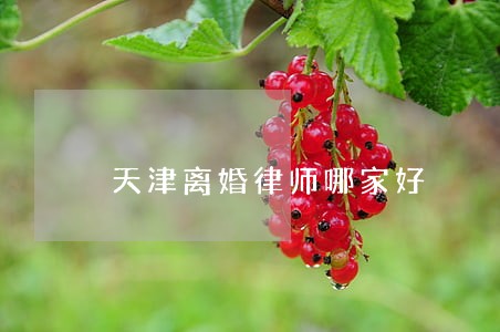 天津离婚律师哪家好