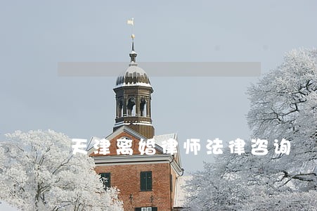 天津离婚律师法律咨询 天津离婚律师法律咨询