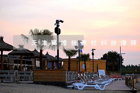 天津离婚抚养权纠纷律师团队 天津离婚抚养权纠纷律师团队