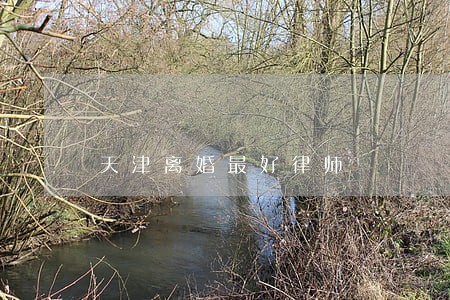 天津离婚最好律师 天津离婚最好律师