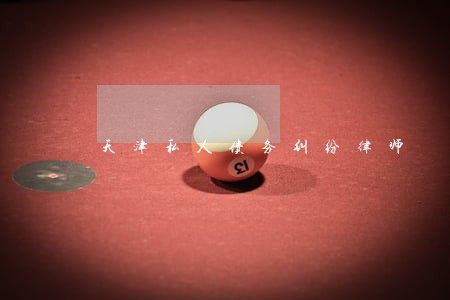 天津私人债务纠纷律师 天津私人债务纠纷律师