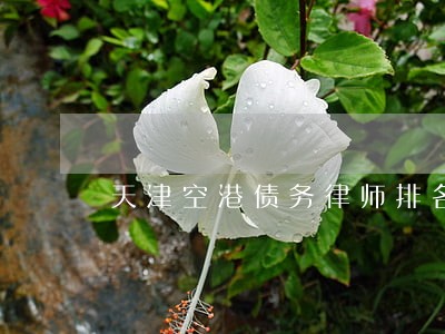天津空港债务律师排名 天津空港债务律师排名