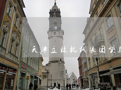 天津立林机械集团贷款逾期 天津立林机械集团贷款逾期