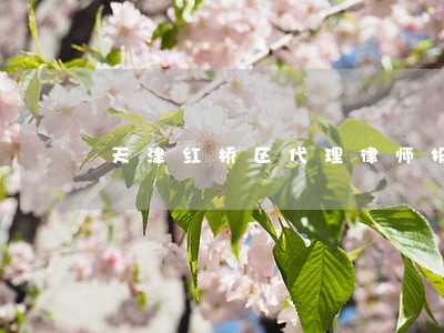 天津红桥区代理律师报价 天津红桥区代理律师报价