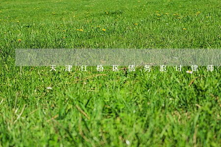 天津红桥区债务追讨律师事务所 天津红桥区债务追讨律师事务所