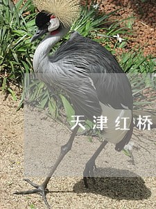 天津红桥区律师事务所名录 天津红桥区律师事务所名录