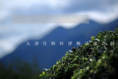 天津红桥区律师法律咨询