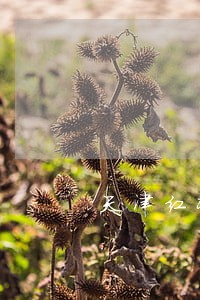 天津红桥区法律援助电话 天津红桥区法律援助电话