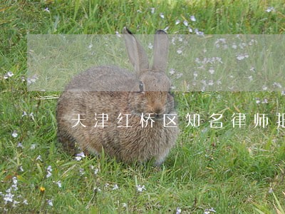 天津红桥区知名律师报价 天津红桥区知名律师报价