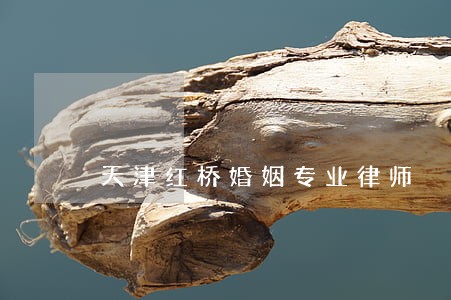 天津红桥婚姻专业律师 天津红桥婚姻专业律师