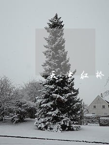 天津红桥金融律师 天津红桥金融律师