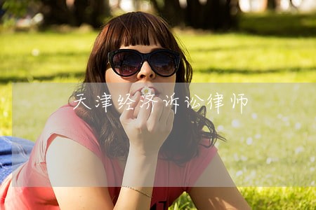 天津经济诉讼律师