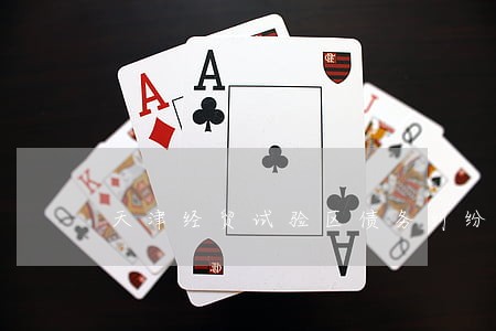 天津经贸试验区债务纠纷请律师 天津经贸试验区债务纠纷请律师