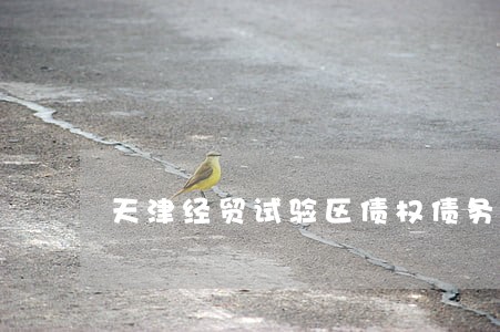 天津经贸试验区债权债务律师 天津经贸试验区债权债务律师