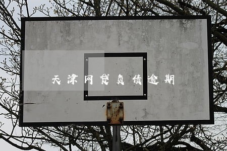 天津网贷负债逾期 天津网贷负债逾期
