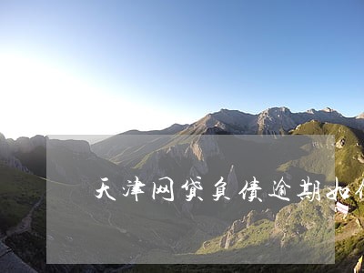 天津网贷负债逾期如何规划还款 天津网贷负债逾期如何规划还款