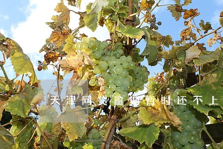 天津网贷逾期暂时还不上怎么办 天津网贷逾期暂时还不上怎么办