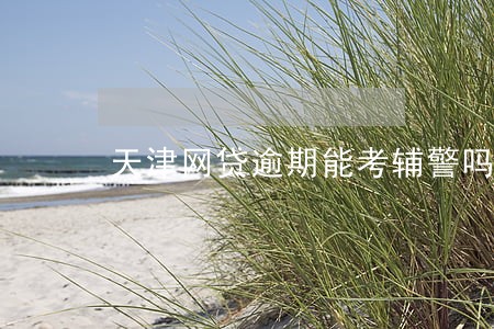 天津网贷逾期能考辅警吗 天津网贷逾期能考辅警吗