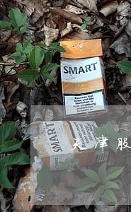 天津股权纠纷法律咨询热线