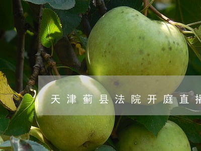 天津蓟县法院开庭直播 天津蓟县法院开庭直播
