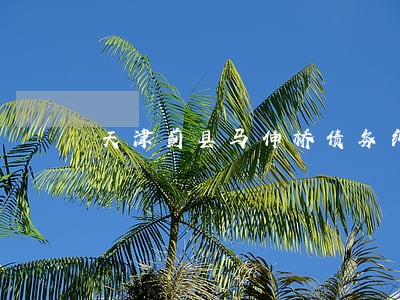 天津蓟县马伸桥债务纠纷律师 天津蓟县马伸桥债务纠纷律师