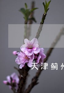 天津蓟州区债务合同律师事务所 天津蓟州区债务合同律师事务所