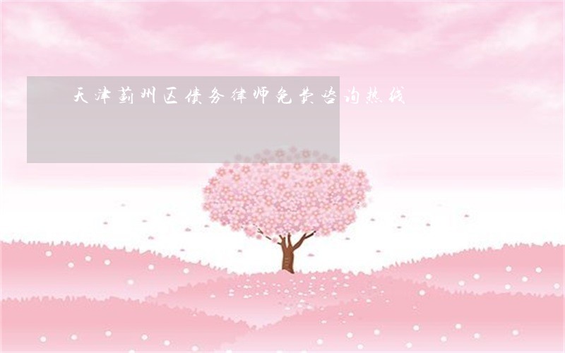 天津蓟州区债务律师免费咨询热线 天津蓟州区债务律师免费咨询热线