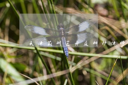 天津蓟州区开庭辩护律师 天津蓟州区开庭辩护律师