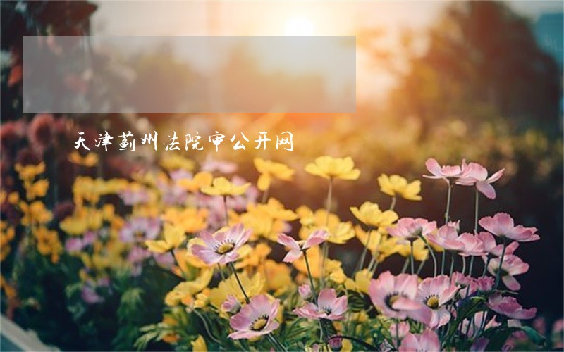 天津蓟州法院审公开网 天津蓟州法院审公开网