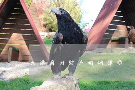 天津蓟州财产婚姻律师 天津蓟州财产婚姻律师