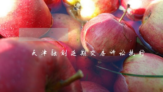 天津融创延期交房诉讼执行 天津融创延期交房诉讼执行