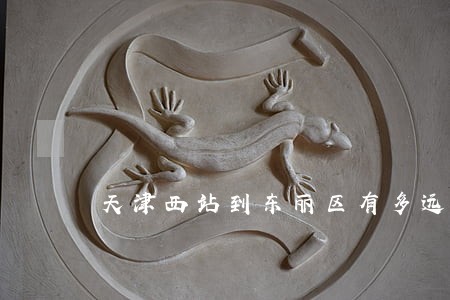 天津西站到东丽区有多远