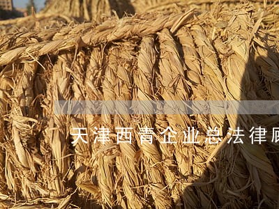 天津西青企业总法律顾问 天津西青企业总法律顾问