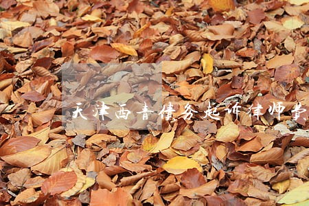 天津西青债务起诉律师费
