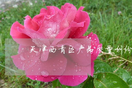 天津西青区产品质量纠纷律师