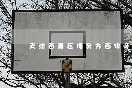 天津西青区债务方面律师 天津西青区债务方面律师