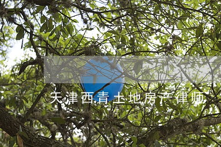天津西青土地房产律师 天津西青土地房产律师