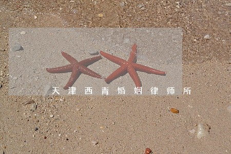 天津西青婚姻律师所 天津西青婚姻律师所