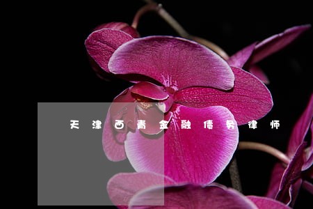 天津西青金融债务律师 天津西青金融债务律师