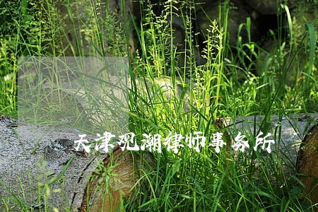 天津观潮律师事务所 天津观潮律师事务所
