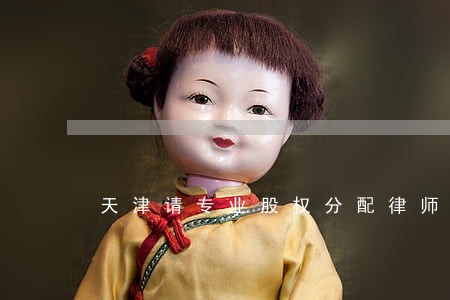 天津请专业股权分配律师 天津请专业股权分配律师